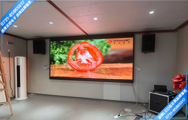 長沙芙蓉區某產業園智能會議室LED顯示屏